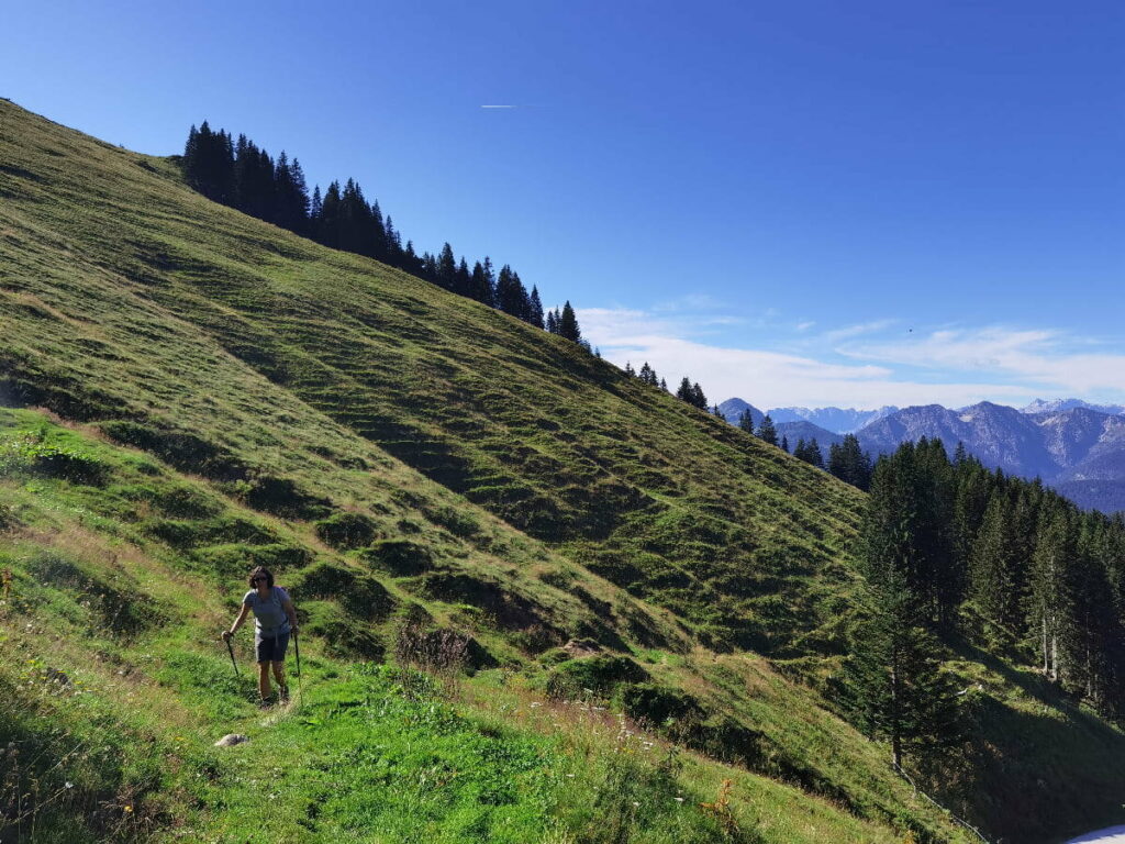 Ausblick bei der Roßsteinalm in Richtung Karwendel