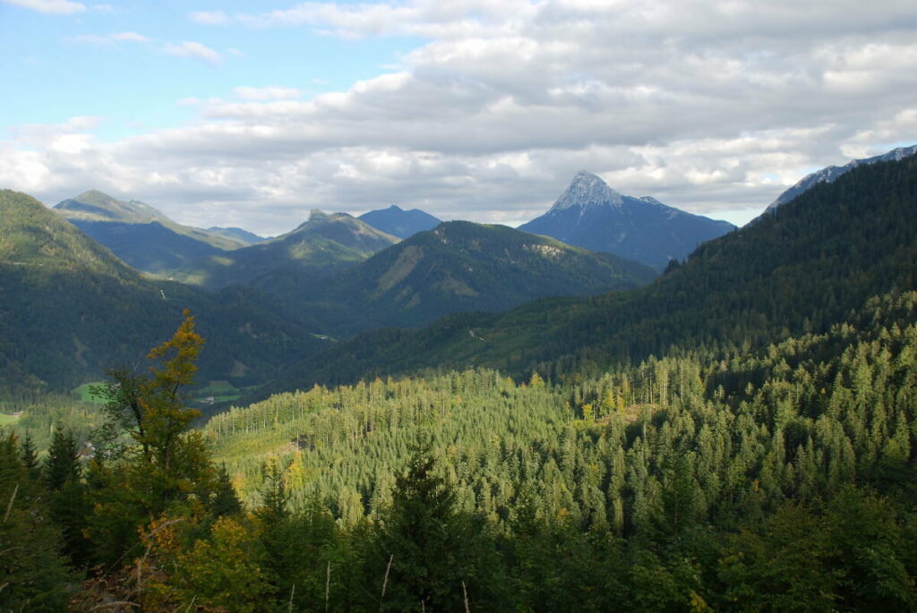 Blick von der Rotwandalm auf den Juifen