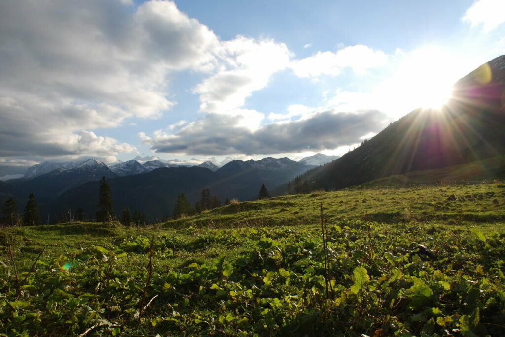 Die Rotwandalm mit dem Sonnenuntergang im Karwendel