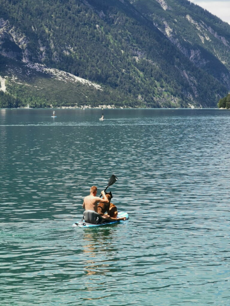 Achensee mit Hund - vom Hundestrand mit dem SUP über den See