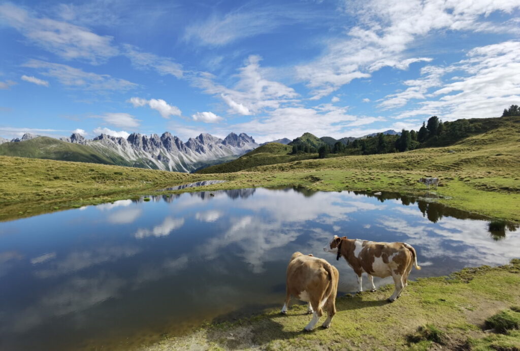 Der berühmte Salfeiner See Blick auf die Kalkkögel - im Sommer weiden die Kühe rund um den See