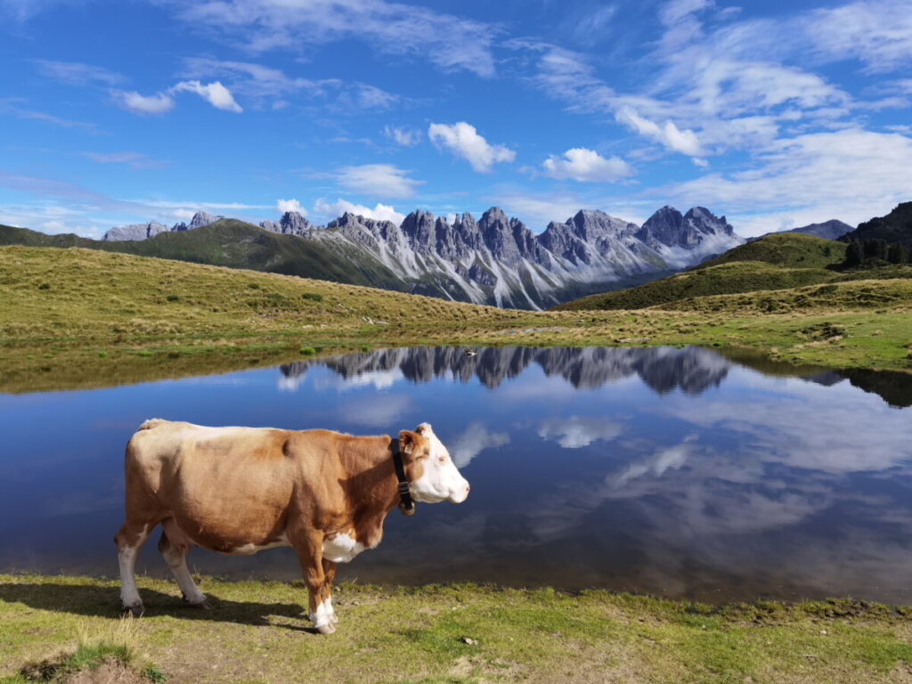 Traumhaft nahe Innsbruck wandern - zum Salfeiner See