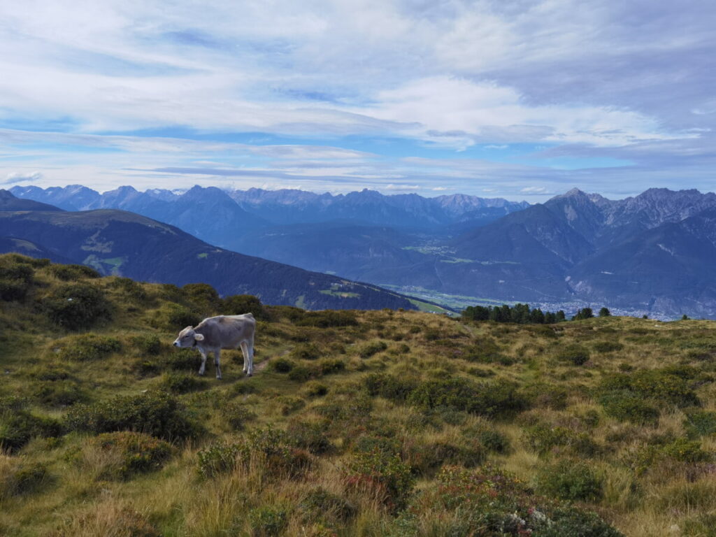 Der Blick über das Inntal nach Seefeld, rechts das Karwendel