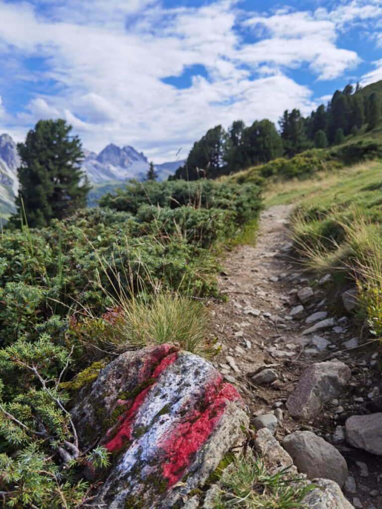 Auf diesem Wandersteig geht es von der Salfeiner Alm hinauf zum Schönanger, wo der See ist