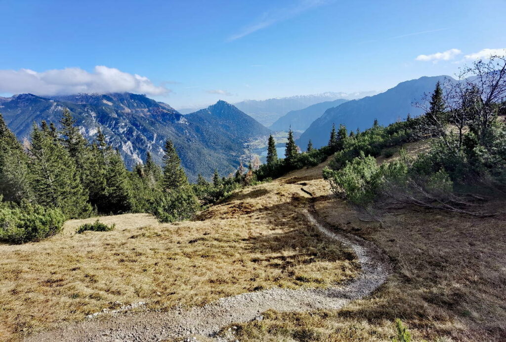 Raus aus dem Bergwald auf der Seebergspitze Wanderung