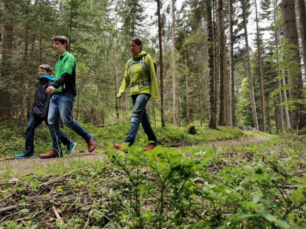 Unsere Seefeld Bodenalm Wanderung - es geht durch den Wald