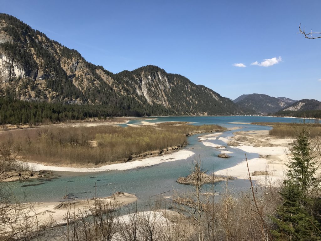 Das ist die Uferlandschaft, wo die Isar in den Sylvensteinsee fließt - das letzte Stück urwüchsiges Isartal 