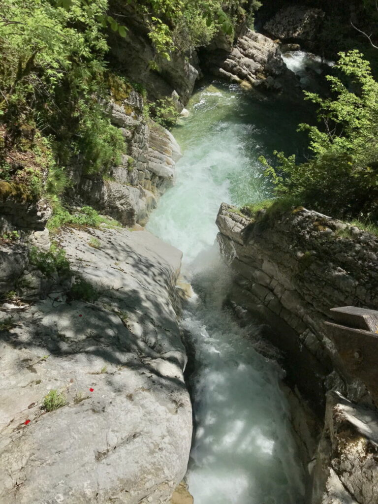 Ausblick vom Unteren Tatzelwurm Wasserfall