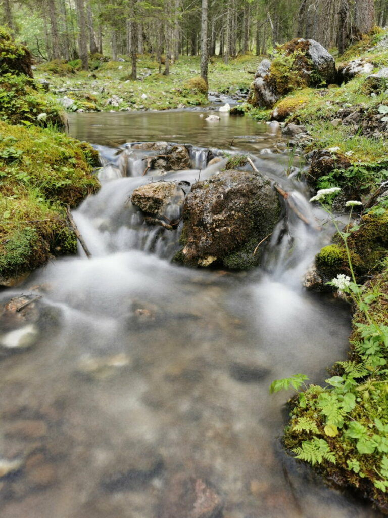 Idyllische Bachlandschaft auf unserer Rontal Tortal Wanderung