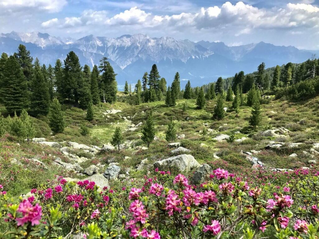 Fantastische wandern auf dem Zirbenweg in den Tuxer Alpen