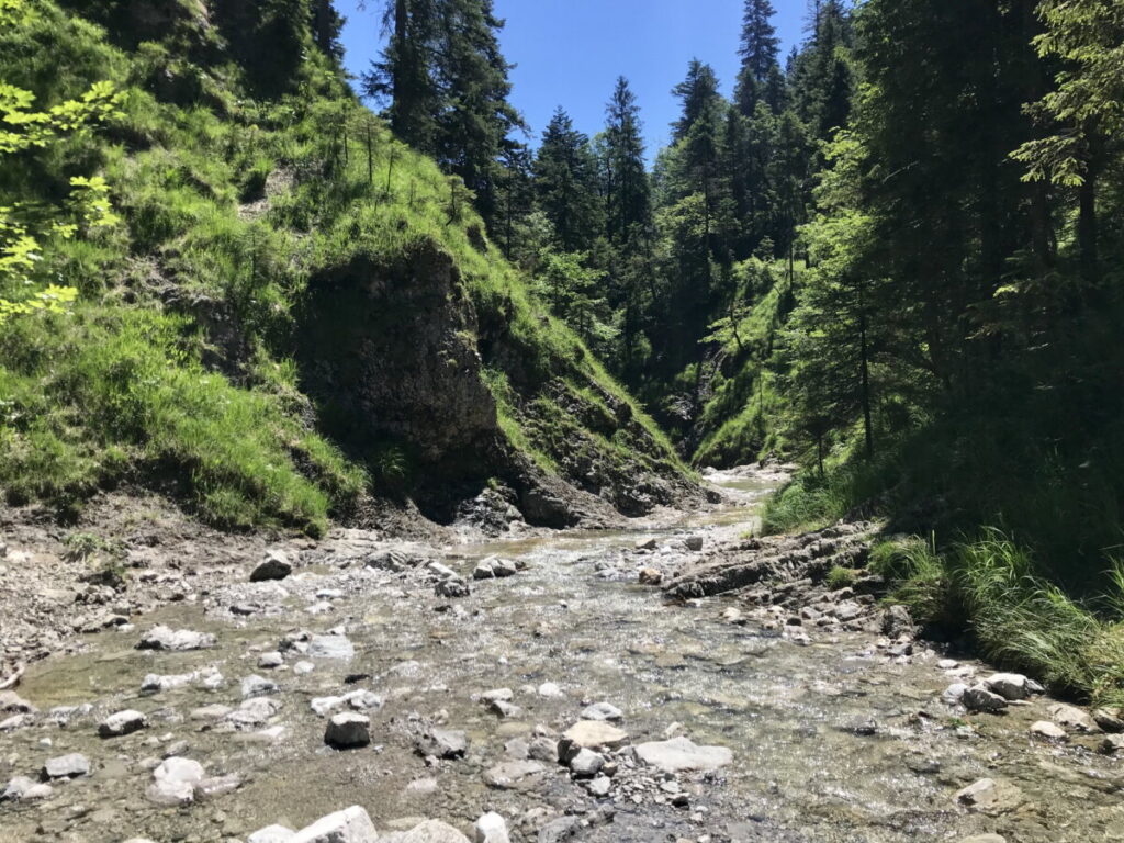 Walchensee Schlucht