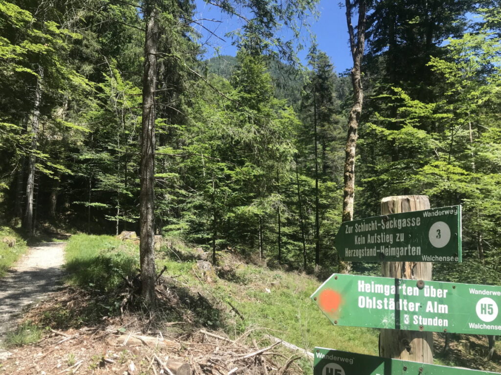 Walchensee Schlucht