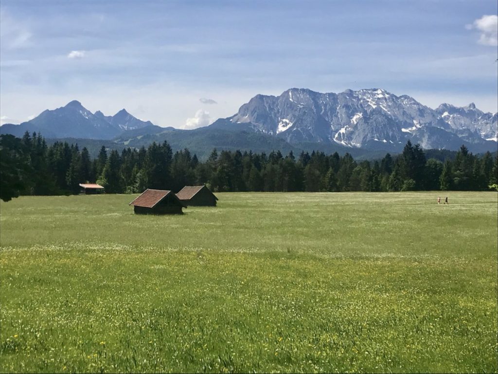 Wallgau wandern - über den Wiesen erheben sich die Gipfel des Wettersteingebirge