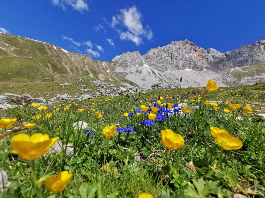 Imposantes Wettersteingebirge auf dem Weg zum Scharnitzjoch