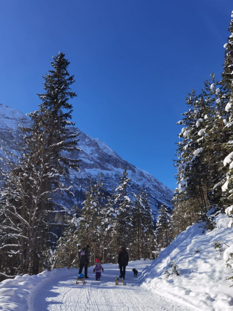 Winter im Karwendel genießen: Auf einer Winterwanderung durch den Schnee