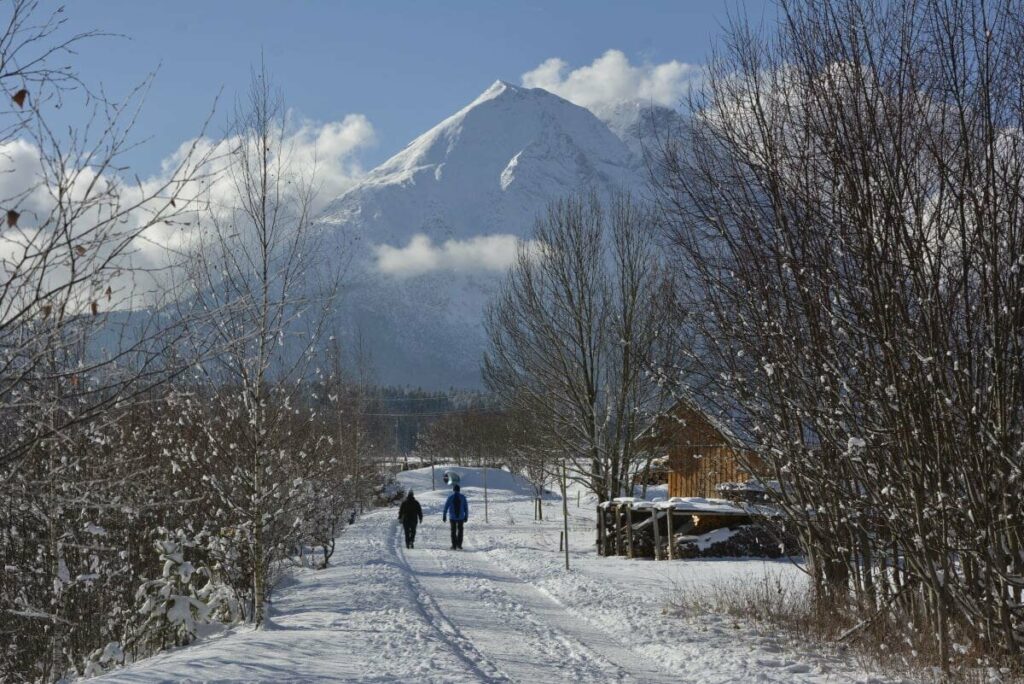 Winterwandern in der Leutasch - mit Blick auf die Hohe Munde