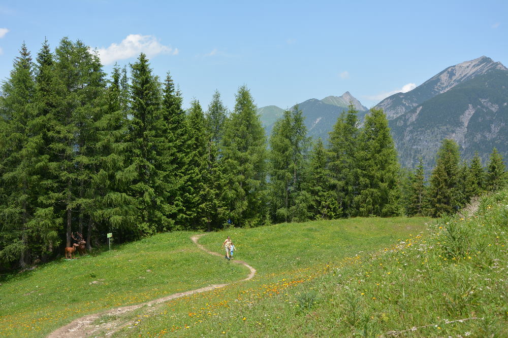 Am Zwölferkopf Achensee wandern