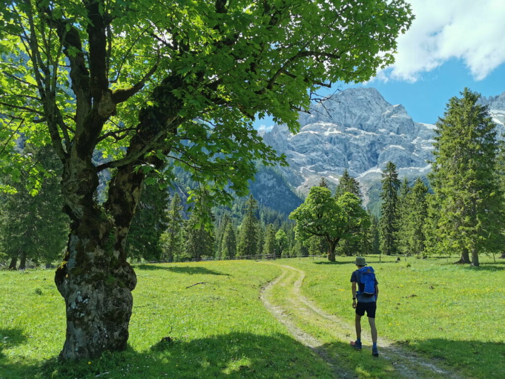 Geheimer Ahornboden in Hinterriss