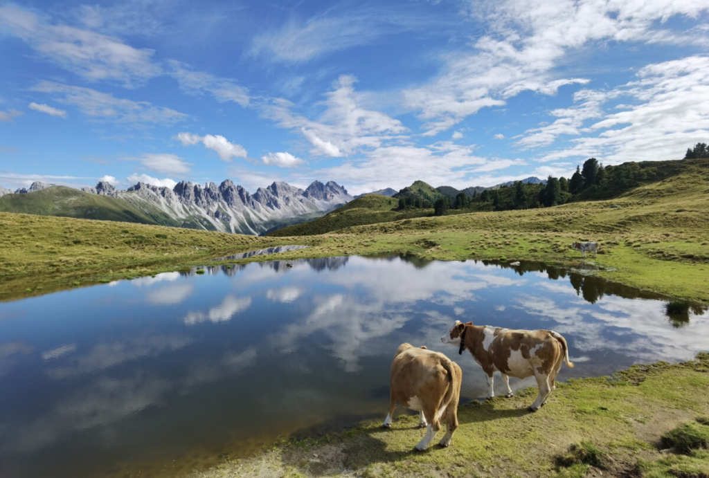 Der berühmte Salfeiner See Blick auf die Kalkkögel – im Sommer weiden die Kühe rund um den See